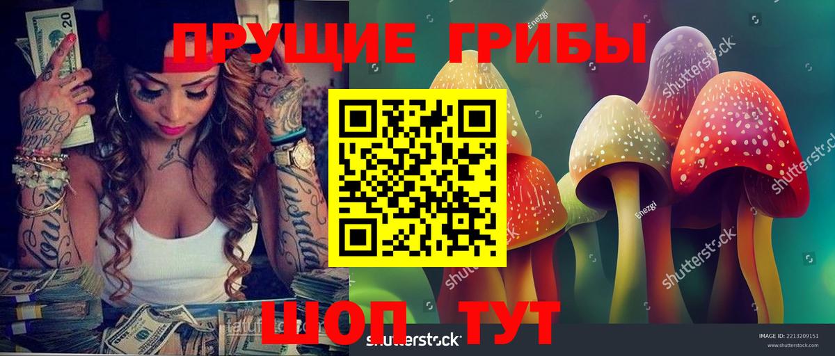Галлюциногенные грибы Psilocybe  Вход с VPN  Златоуст  Псилоцибиновые грибы Psilocybine cubensis 