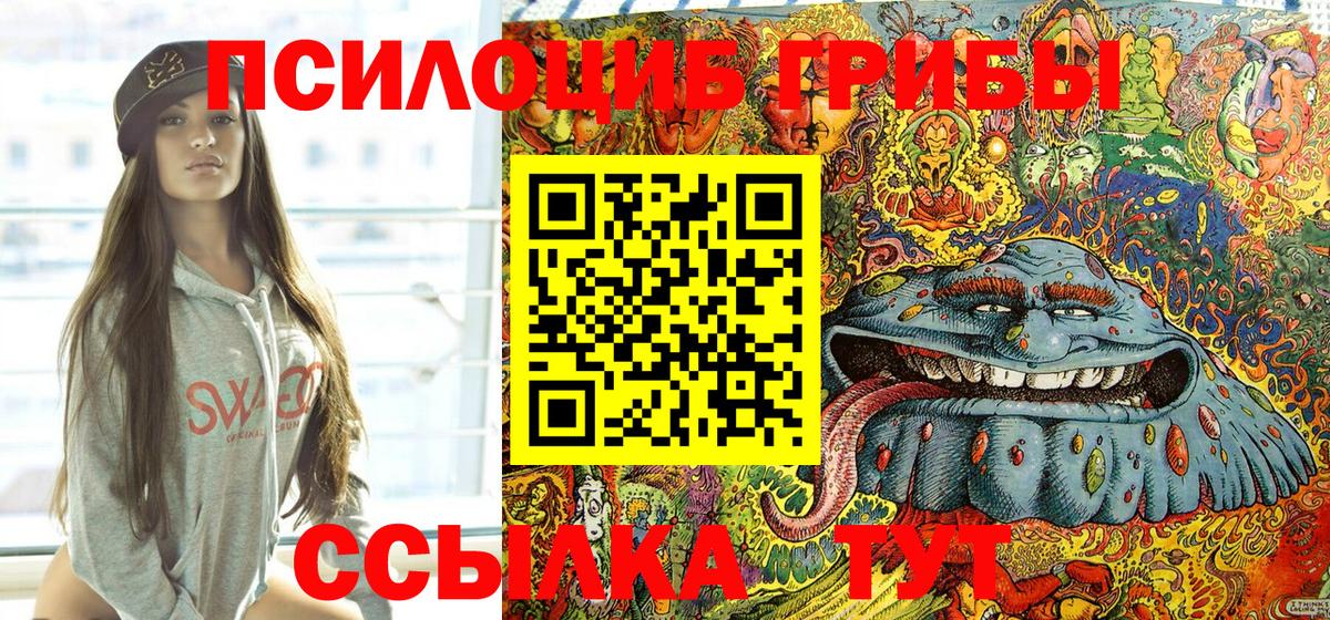 Псилоцибиновые грибы Cubensis Златоуст